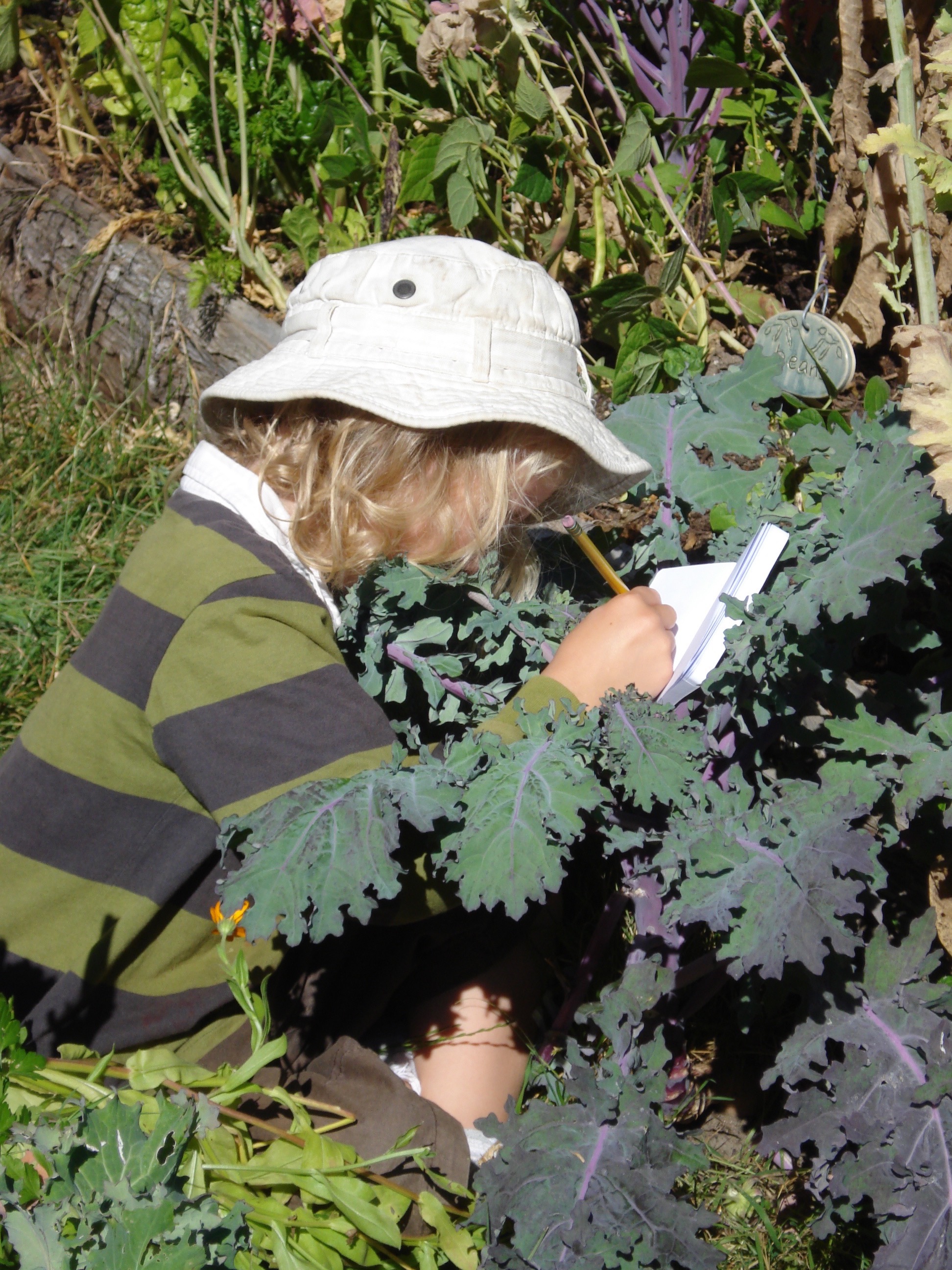 Student Journaling in the School Garden