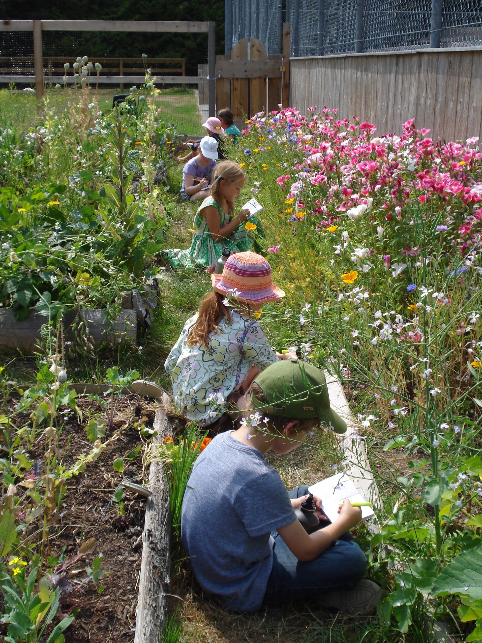 Journaling in the School Garden