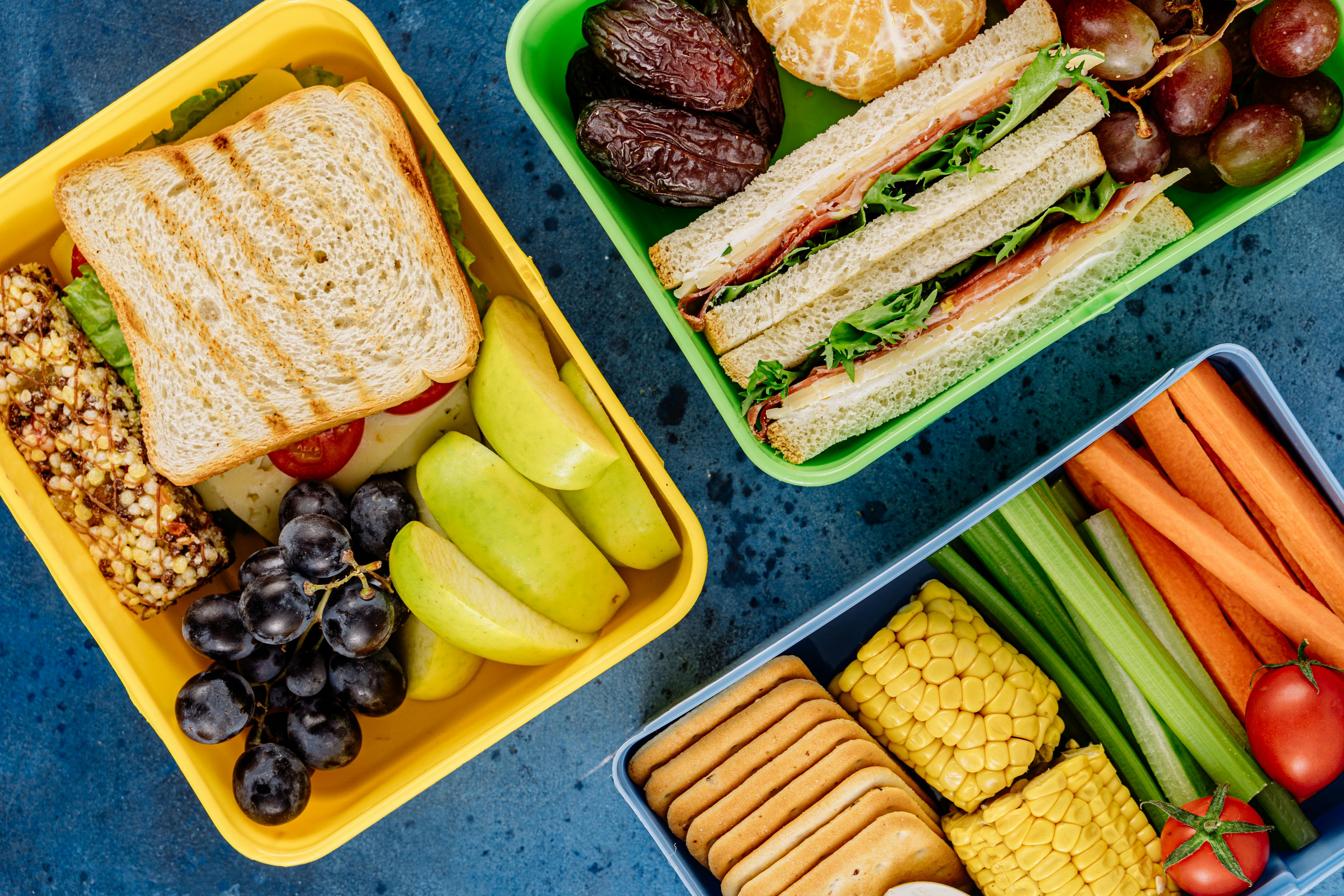 Vegan school lunch bento boxes